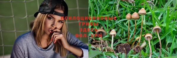 метадон Володарск