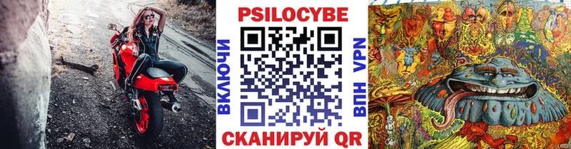 Галлюциногенные грибы мицелий где найти Яровое